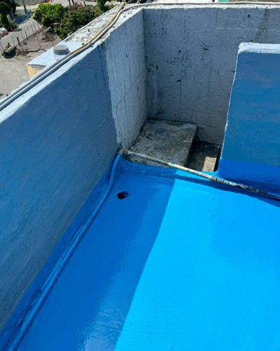 �̪F���{�m���Ө���, �̪F���{�m�γ�����, �̪F���{�m������µ, �̪F���{�m�����u�{, �̪F���{�m�~�𨾤�, �̪F�S���{�m�x����