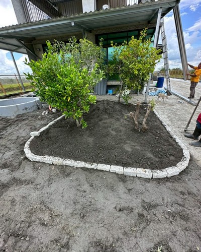 �̪F�����y��, �̪F�������[�u�{, �̪F��a��g, �̪F��g��a